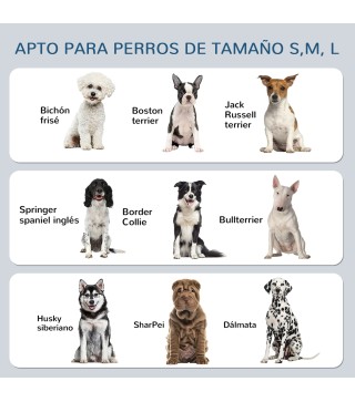 Comedero para Perros