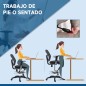 Silla de Escritorio Silla de Escritorio