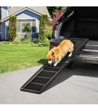 Rampa para Perros