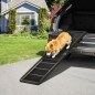 Rampa para Perros Rampa para Perros