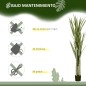 Planta Artificial Planta Artificial