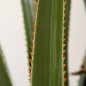 Planta Artificial Planta Artificial