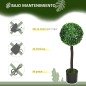 Set de 2 Arbustos Artificiales Decorativos 60cm Boj Sintético para Decoración Interior y Exterior Ø20x60 cm Verde Set de 2 Arbustos Artificiales Decorativos 60cm Boj Sintético para Decoración Interior y Exterior Ø20x60 cm Verde