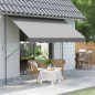 Toldo Manual Retráctil 300x175x210-310 cm Ajustable con Manivela Protección Solar UV40+ para Balcón Terraza Gris
