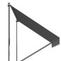 Toldo Manual Retráctil 300x175x210-310 cm Ajustable con Manivela Protección Solar UV40+ para Balcón Terraza Gris