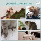 Estantes para Gatos Estantes para Gatos
