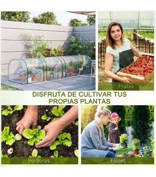 Invernadero de Túnel