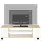 Mueble de TV Flotante y Ruedas con 2 Estantes para Televisores de hasta 55 Pulgadas 120x40x38,5 cm Blanco