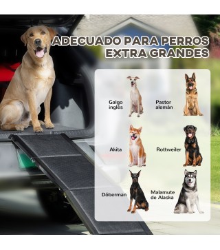 Rampa para Mascotas