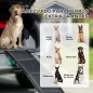Rampa para Mascotas Rampa para Mascotas