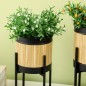 Soportes para Plantas Soportes para Plantas