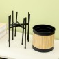 Soportes para Plantas Soportes para Plantas