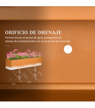 Jardinera Colgante