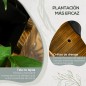 Jardinera de Madera