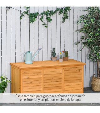 Baúl de Almacenaje