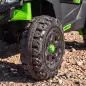 Coche Eléctrico Niños 2 Plazas UTV 24V 2 Motores Batería Litio Control Remoto Suspensión Arranque Suave 3-8 Años Verde Coche Eléctrico Niños 2 Plazas UTV 24V 2 Motores Batería Litio Control Remoto Suspensión Arranque Suave 3-8 Años Verde