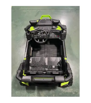 Coche Eléctrico Niños 2 Plazas UTV 24V 2 Motores Batería Litio Control Remoto Suspensión Arranque Suave 3-8 Años Verde