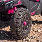 Coche Eléctrico Niños 2 Plazas UTV 24V 2 Motores Batería Litio Control Remoto Suspensión Arranque Suave 3-8 Años Rosa Coche Eléctrico Niños 2 Plazas UTV 24V 2 Motores Batería Litio Control Remoto Suspensión Arranque Suave 3-8 Años Rosa
