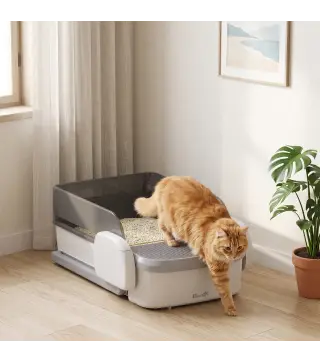 Arenero Gatos Autolimpiable Abierto Control por APP Sensores de Seguridad Capacidad de 10 L sin Olores Entrada Baja