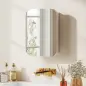 Armario de Baño con Espejo Diseño con Bordes Curvados Estantes Ajustables 40,2x10,2x50,9 cm Blanco