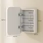 Armario de Baño con Espejo Diseño con Bordes Curvados Estantes Ajustables 40,2x10,2x50,9 cm Blanco Armario de Baño con Espejo Diseño con Bordes Curvados Estantes Ajustables 40,2x10,2x50,9 cm Blanco