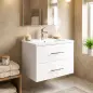 Mueble de Baño con Lavabo Montaje en Pared con 2 Cajones Lavamanos de Cerámica Estilo Moderno 61x40x48 cm Blanco