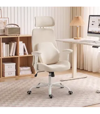 Silla de Escritorio Ergonómica Cojín Lumbar de Espuma Viscoelástica Reposacabezas 3D Reposabrazos Ajustables Beige