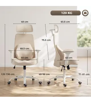 Silla de Escritorio Ergonómica Cojín Lumbar de Espuma Viscoelástica Reposacabezas 3D Reposabrazos Ajustables Beige