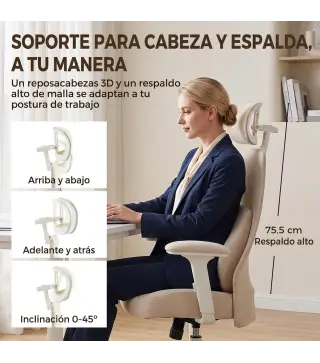 Silla de Escritorio Ergonómica Cojín Lumbar de Espuma Viscoelástica Reposacabezas 3D Reposabrazos Ajustables Beige