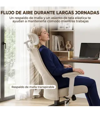 Silla de Escritorio Ergonómica Cojín Lumbar de Espuma Viscoelástica Reposacabezas 3D Reposabrazos Ajustables Beige
