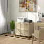 Armario Archivador de 2 Cajones de Ratán Bohemio con Cerraduras Barras para Carpetas, A4 y Legal 75x40x71,5 cm Roble