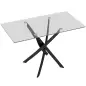 Mesa de Comedor Rectangular Moderna 6 Personas Tablero Vidrio Templado Patas Cruzadas de Acero 120x65 cm Transparente