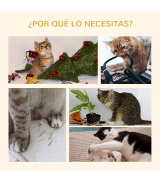 Árbol para Gatos