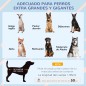 Caseta para Perros Caseta para Perros