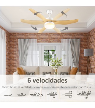 Ventilador de Techo