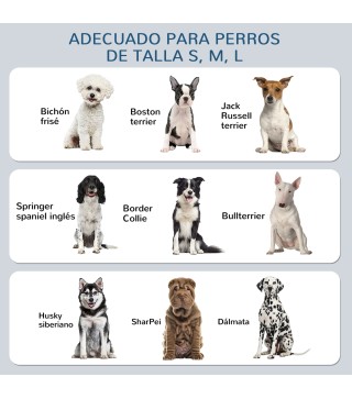 Comedero para Perros