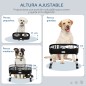 Comedero para Perros Comedero para Perros