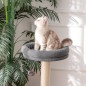 Árbol para Gatos Árbol para Gatos
