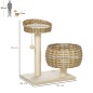 Árbol para Gatos Árbol para Gatos