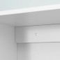 Armario de Pared Baño de 2 Puertas de Cristal Armario Colgante Multiusos para Cocina Salón con Estantes Interiores y Bal Armario de Pared Baño de 2 Puertas de Cristal Armario Colgante Multiusos para Cocina Salón con Estantes Interiores y Bal