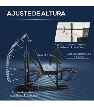 Banco de Musculación