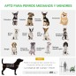 Remolque de Bicicleta Perros Remolque de Bicicleta Perros