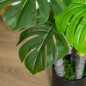 Planta Artificial Planta Artificial