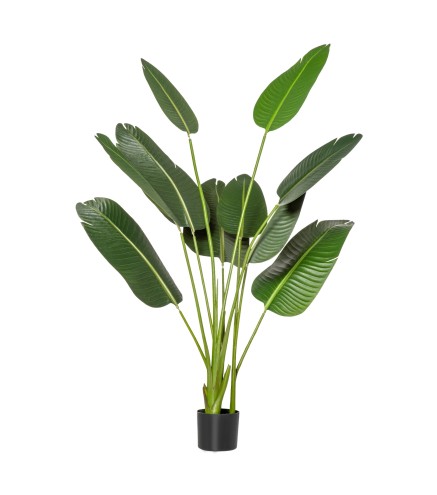 Planta Artificial Bananera de 160 cm con Maceta y 10 Hojas Realistas Planta Tropical Sintética para Decoración en Interior y Ext