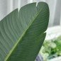Planta Artificial Bananera de 160 cm con Maceta y 10 Hojas Realistas Planta Tropical Sintética para Decoración en Interior y Ext Planta Artificial Bananera de 160 cm con Maceta y 10 Hojas Realistas Planta Tropical Sintética para Decoración en Interior y Ext