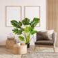 Planta Monstera Artificial