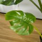 Planta Monstera Artificial