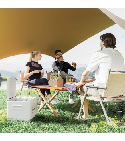 Nevera Portátil Eléctrica 16,8L Refrigerador de Coche 12/24/220V -20℃ a +20 ℃ con Pantalla Luz LED 59x32x28 cm Blanco