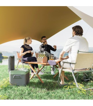 Nevera Portátil Eléctrica 17,4L Refrigerador de Coche 12V-220V -20℃ a +20 ℃ con Pantalla Luz LED 61x34x32,4 cm Gris