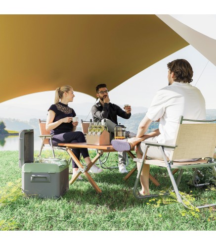 Nevera Portátil Eléctrica 17,4L Refrigerador de Coche 12V-220V -20℃ a +20 ℃ con Pantalla Luz LED 61x34x32,4 cm Gris